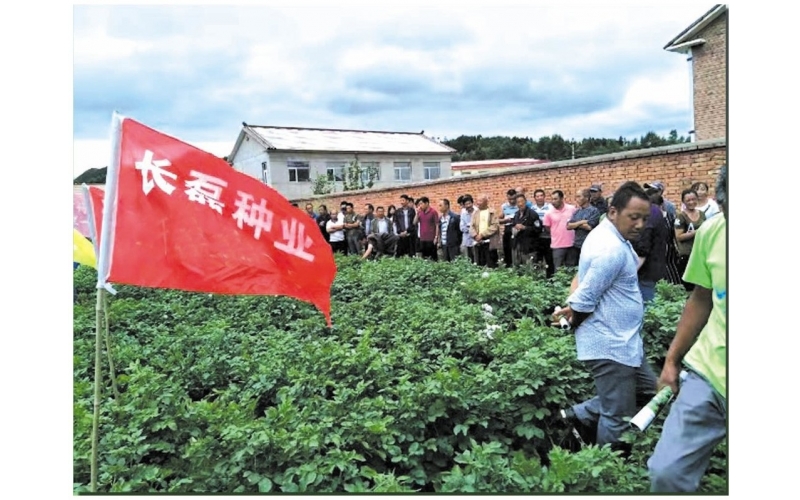 長磊農業科技開發有限公司基地觀摩定貨